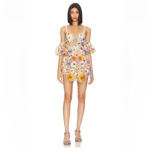 For Love & Lemons Prato floral embroidered mini dress